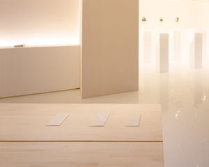 折形半紙1/2 / AXIS